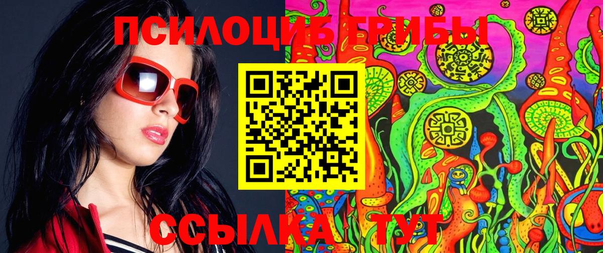 Псилоцибиновые грибы Psilocybine cubensis  Вход с VPN  Владивосток 