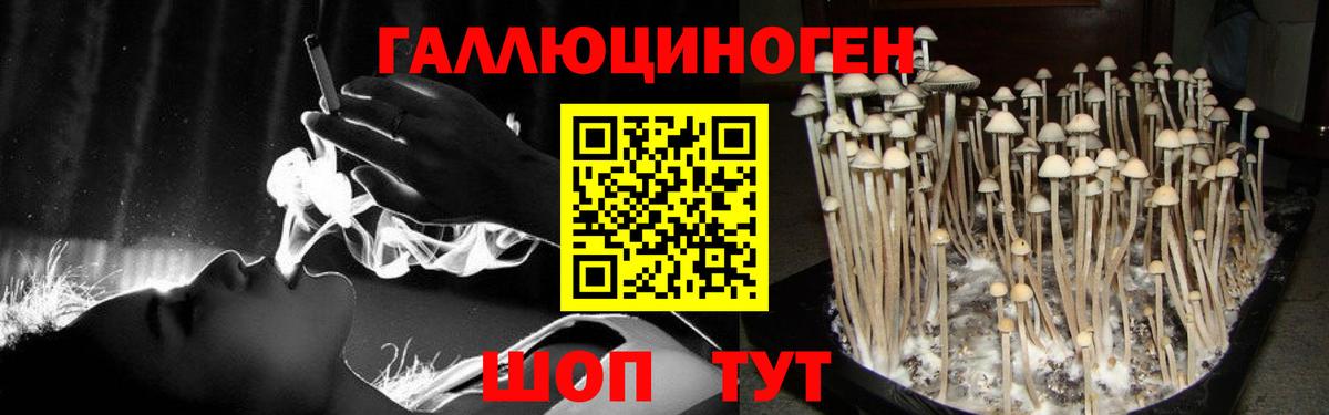 Галлюциногенные грибы ЛСД Владивосток